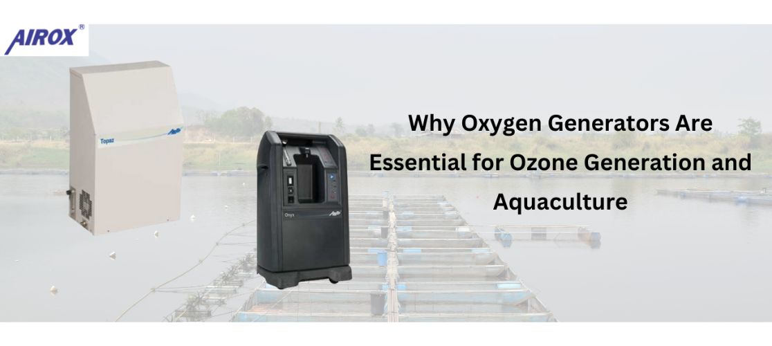 Best Oxygen Generators in India